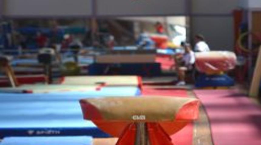 İzmirli Ferhat, D&uuml;nya Jimnastik Literat&uuml;r&uuml;ne Girdi