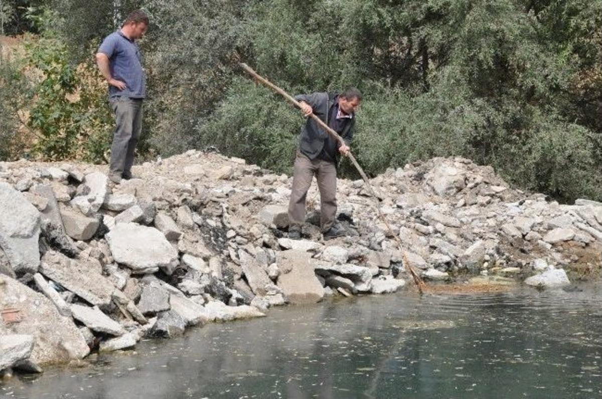 İneg&ouml;l'de Balık &Ouml;l&uuml;mleri Devam Ediyor