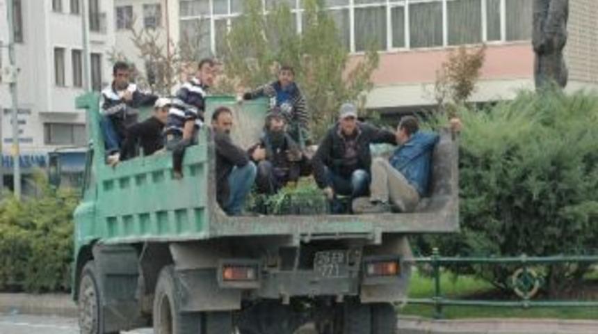 Tehlikeli Yolculuk