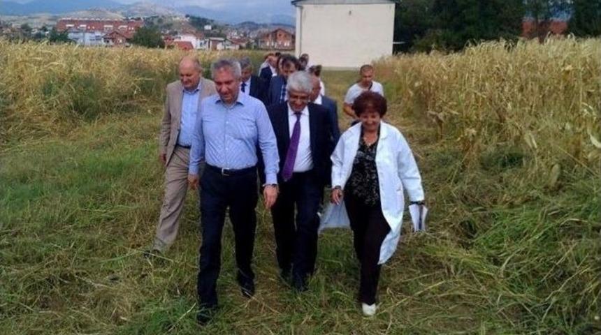 Makedonya'da Pirin&ccedil; Kalitesini Ve &Uuml;retimini Geliştirme Projesi&rsquo;nin İlk Etabı Tamamlandı