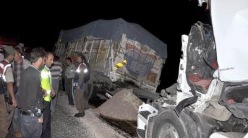 TIR s&uuml;r&uuml;c&uuml;s&uuml;n&uuml;n feci &ouml;l&uuml;m&uuml;