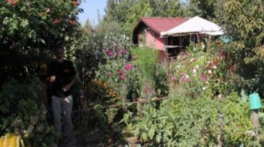 (&ouml;zel Haber) Şehir Ortasında K&ouml;y Hayatı Yaşıyorlar