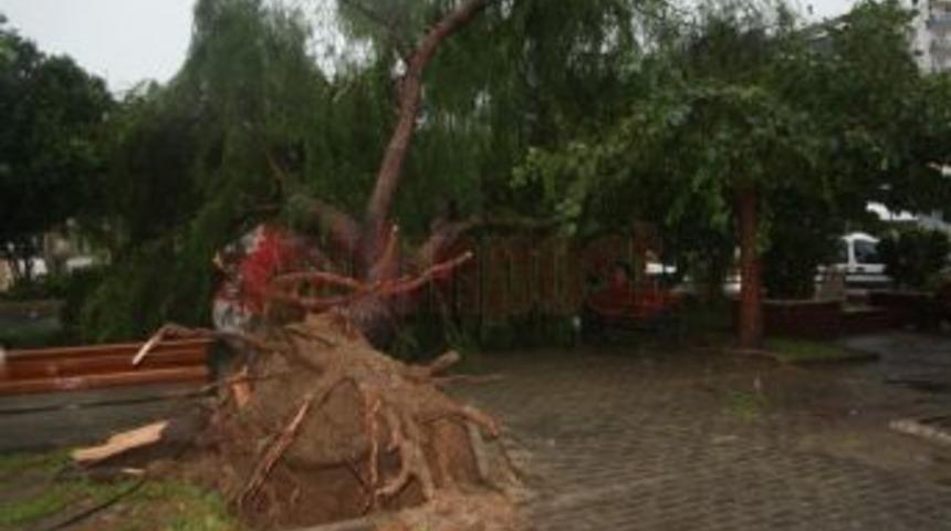 Aydın'da fırtına!