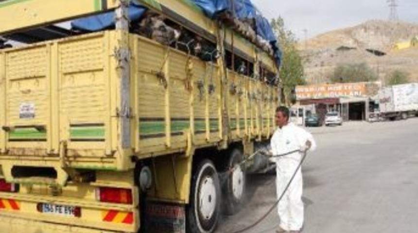 Kurbanlıklar Alana İndi