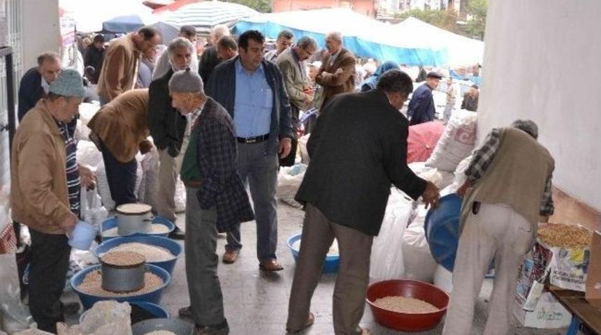 Simav Fasulyesi &Uuml;retimiyle Y&uuml;z G&uuml;ld&uuml;rd&uuml;