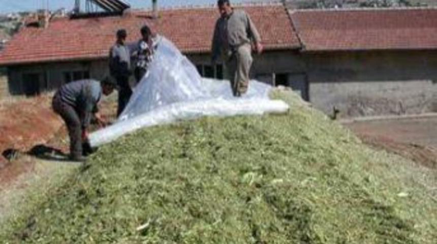 Hınıs&rsquo;ta Kaba Yem A&ccedil;ığına Alternatif &Ccedil;&ouml;z&uuml;mler Aranıyor