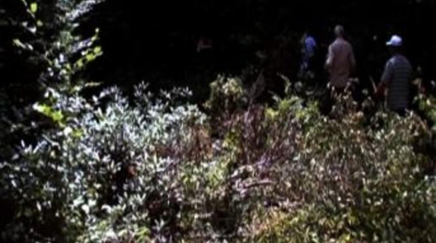 Kestane Toplarken Kaybolan İki Kadın 7 Saat Sonra Bulundu