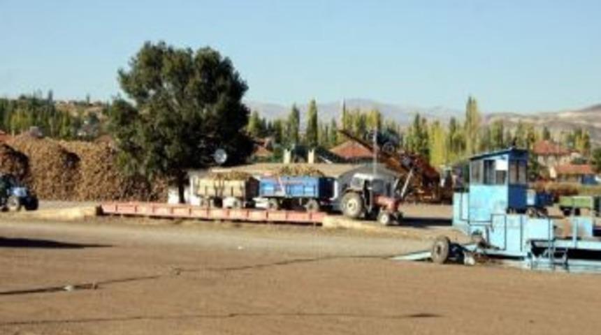 Gemerek&rsquo;te Pancar Alımları Başladı