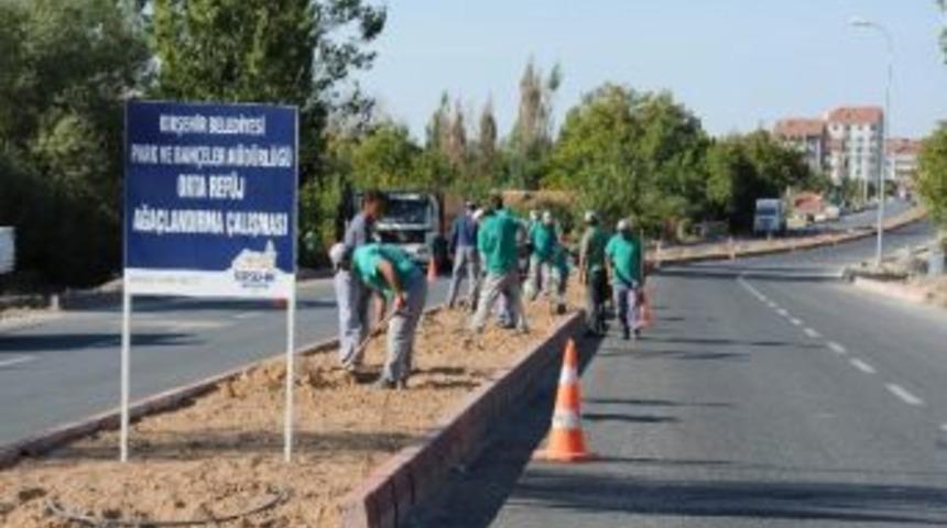 Daha Yeşil Bir Şehir İ&ccedil;in Ağa&ccedil;landırma &Ccedil;alışmaları Devam Ediyor
