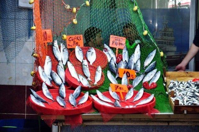 Balık&ccedil;ılar Fiyatların Pahalılığına Dikkat &Ccedil;ekti 1