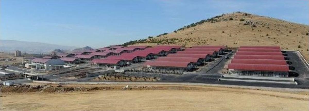 Altındağ Belediyesi'nin Kurban Satış Ve Kesim Merkezi Tertemiz