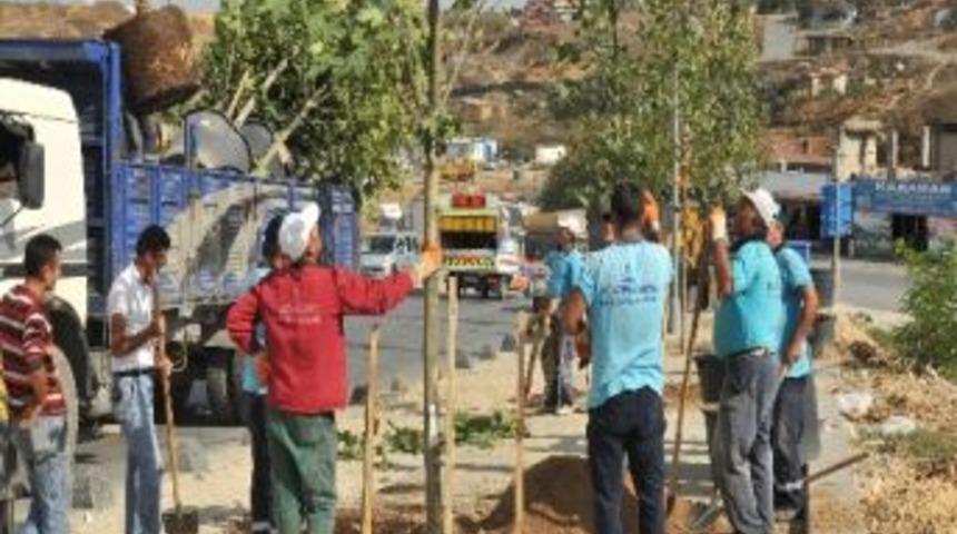 Sancakcaktepe&rsquo;de Ağa&ccedil; Seferberliği