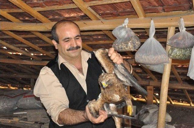 Oğlunun Tavuk Zannedip Yakaladığı Şahini Milli Parklar’a Teslim Etti 1