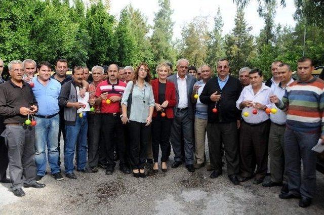 Chp li Kadın Adaydan Şoförlere stres Topu 3