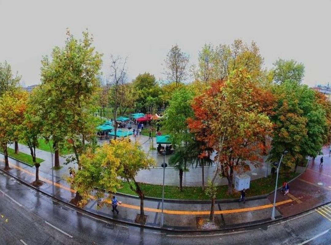Anılardaki Şemsiyeli Park, Yeniden &lsquo;merhaba&rsquo; Dedi