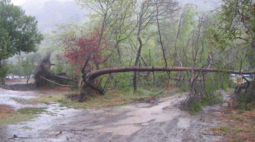 Marmaris İnb&uuml;k&uuml; Orman Kampı&rsquo;nı Hortum Vurdu
