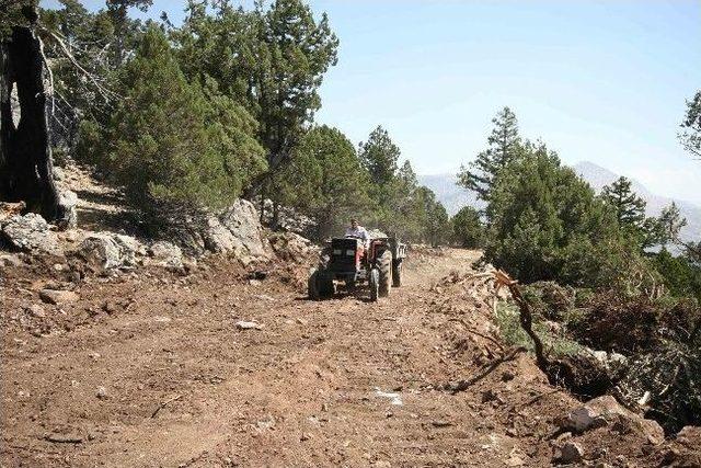 Yılmazlı Köyü Yayla Yoluna Kavuşuyor