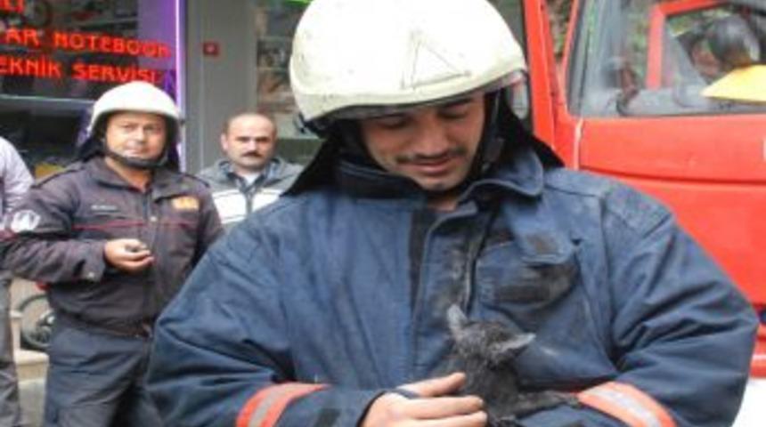 Yağmurdan Ka&ccedil;an Yavru Kedi Motora Sıkıştı