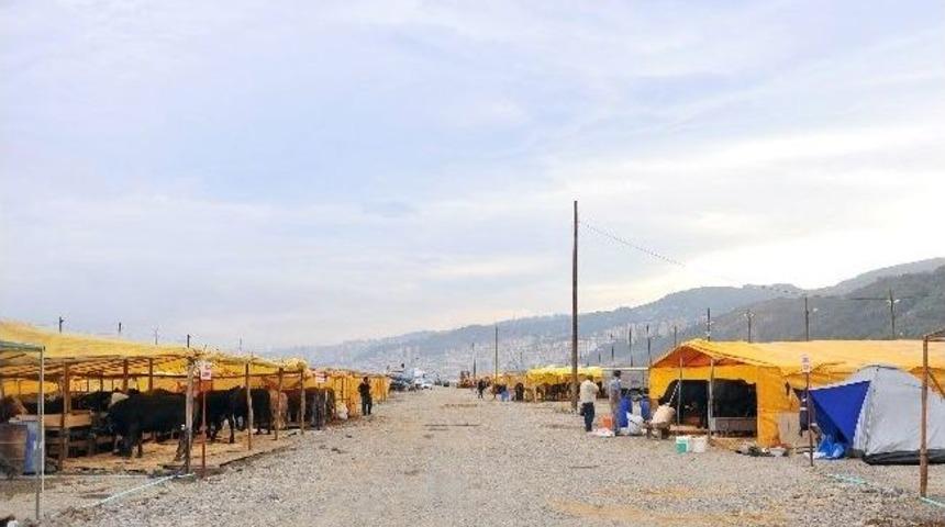 Trabzon&rsquo;da Kurban Pazarı Kuruldu