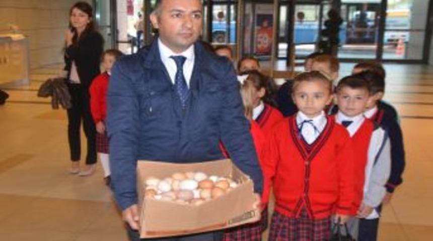 2 K&ouml;y Yumurtası Karşılığında Sinemayla Tanıştılar