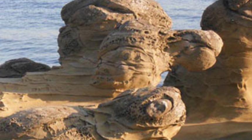 &Ccedil;anakkale sahillerinde hayvan fig&uuml;rleri oluştu