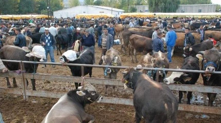 Tokat&rsquo;ta Kurban Kesim Ve Satış Yerleri Belirlendi