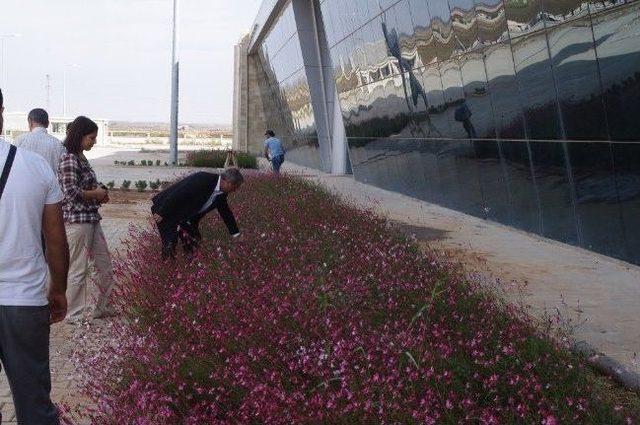 Viranşehir Belediyesi Yeni Otogarın Açılışına Hazırlanıyor