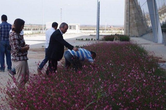 Viranşehir Belediyesi Yeni Otogarın Açılışına Hazırlanıyor