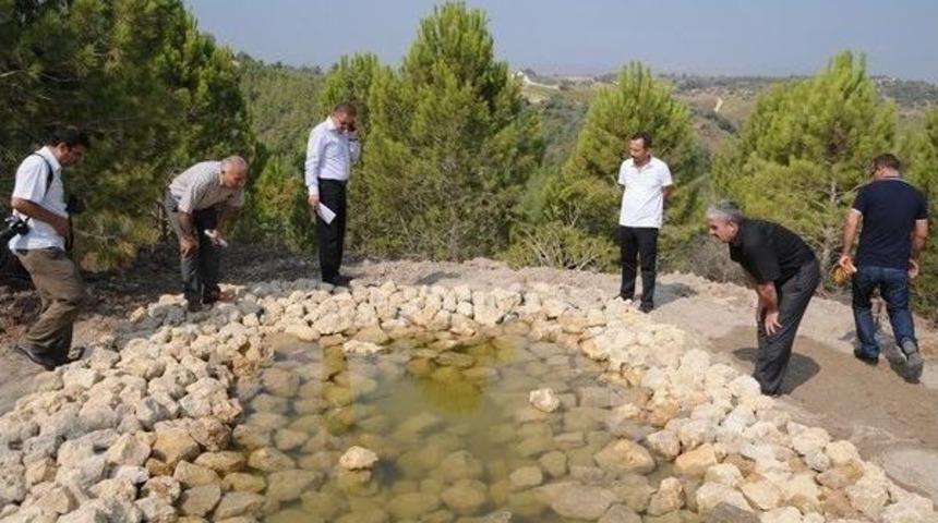 Ormana Can Suyu Havuzu