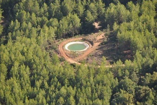 Ormana Can Suyu Havuzu 1