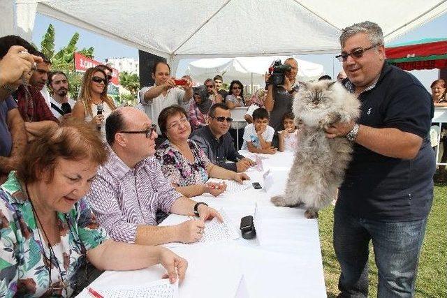 Karşıyaka da En Sevimli Şenlik Başlıyor 2