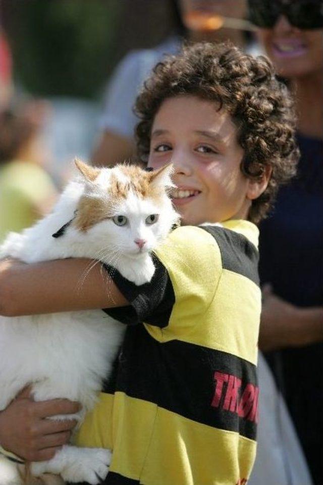 Karşıyaka da En Sevimli Şenlik Başlıyor 3