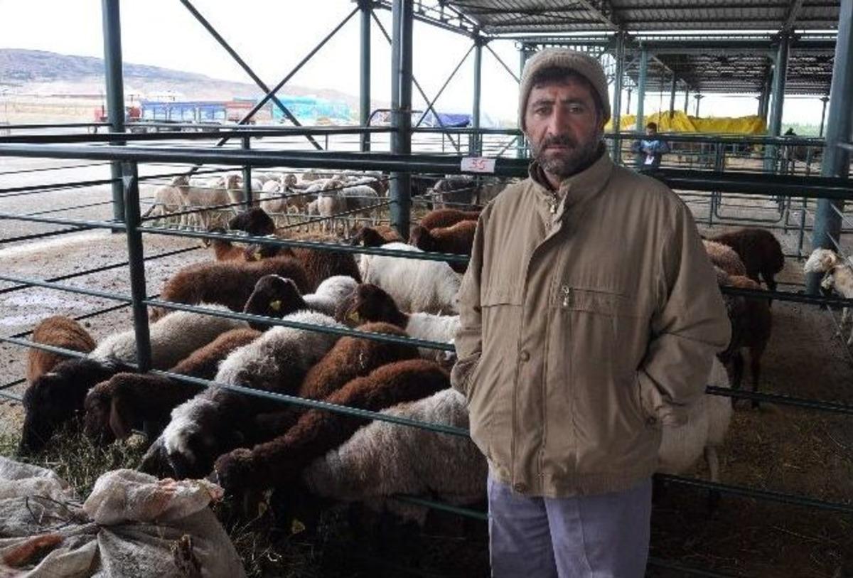 Kurbanlıklar Pazara &Ccedil;ıktı