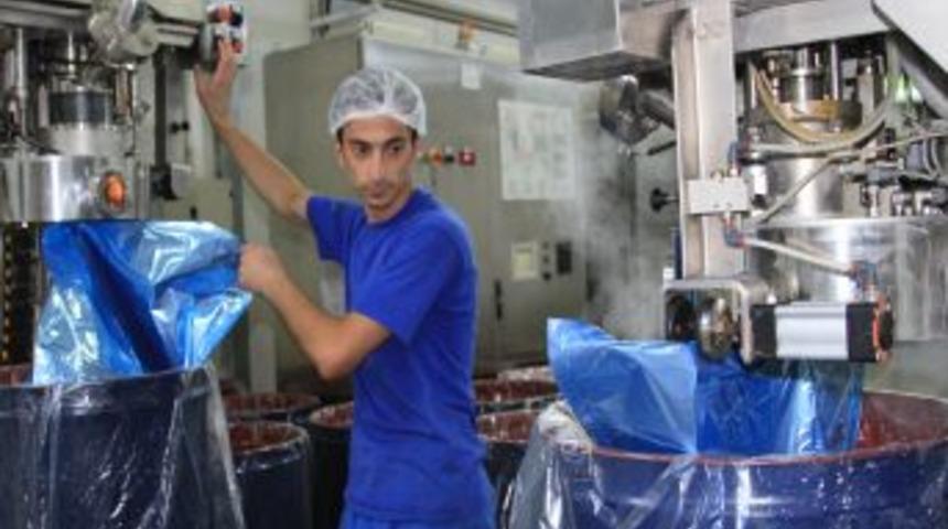 Yabani Meyveler Erzincan&rsquo;dan D&uuml;nyanın Bir&ccedil;ok Noktasına Ihra&ccedil; Ediliyor