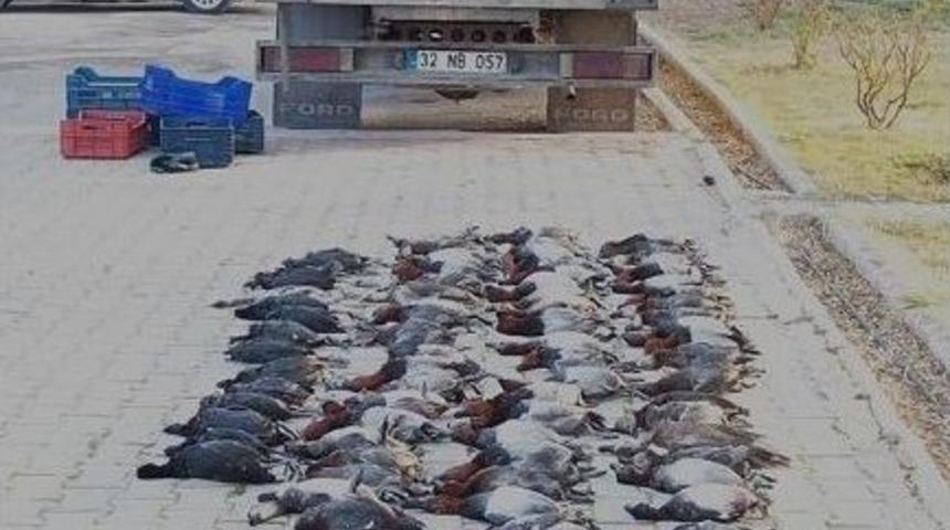 489 Avcıya 508 Bin Tl Ceza