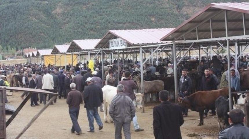 &Ccedil;ay Canlı Hayvan Borsasında Kurban Bayramı Hareketliliği