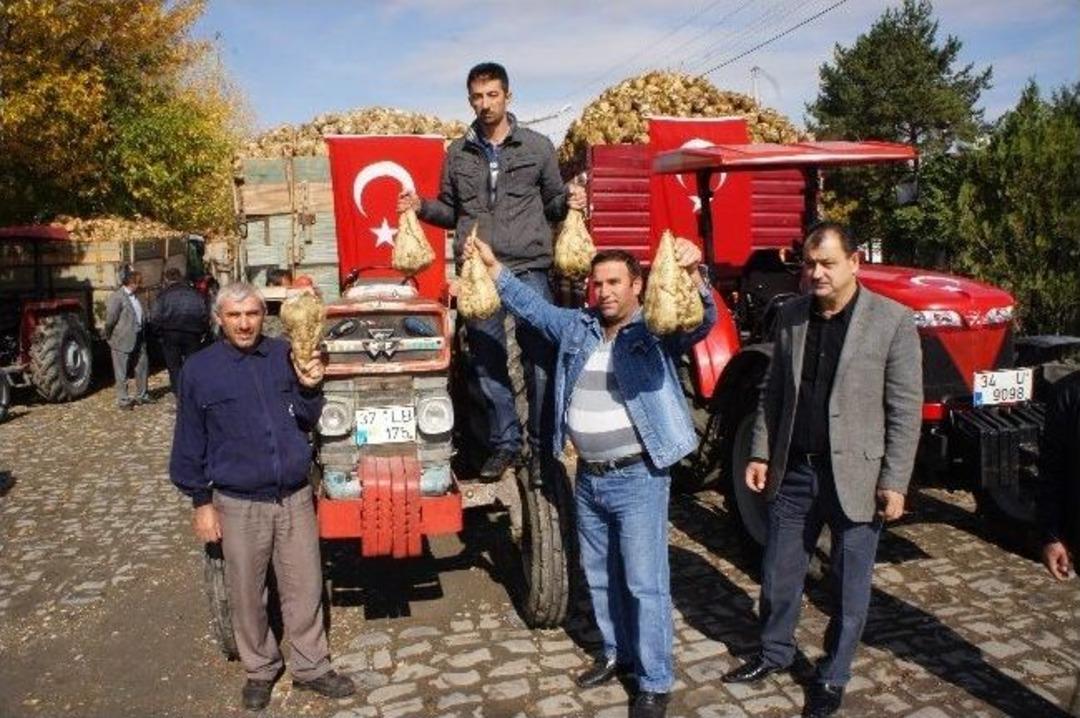 Vali Bektaş, Trakt&ouml;r Kullandı