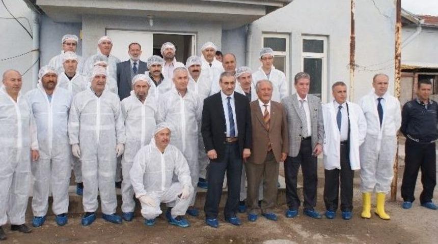 Kırıkkale Halk Eğitim Merkezi Tarafından Kurban Kesim Kursu A&ccedil;ıldı