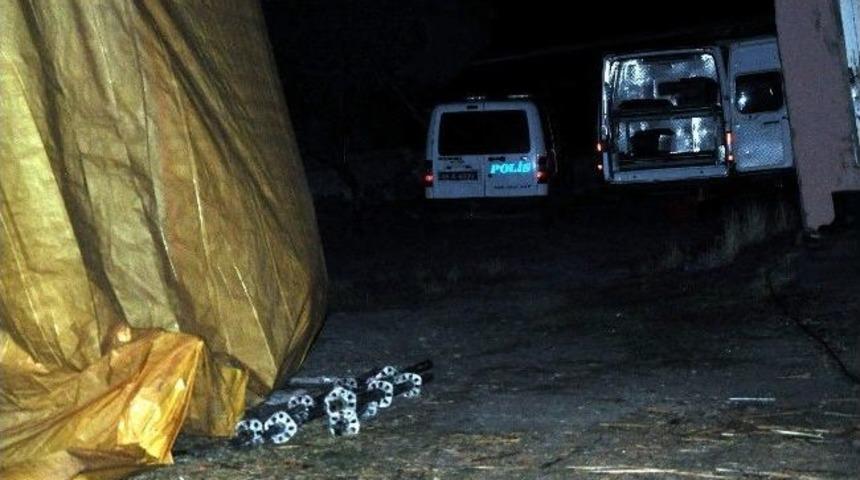 Sivas&rsquo;ta Bir Kadın &Ouml;ld&uuml;r&uuml;lm&uuml;ş Halde Bulundu