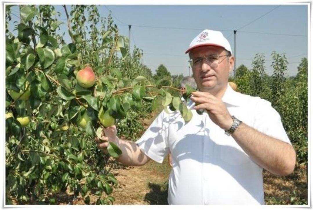 Keşan&rsquo;ın Meyveci Kaymakamı