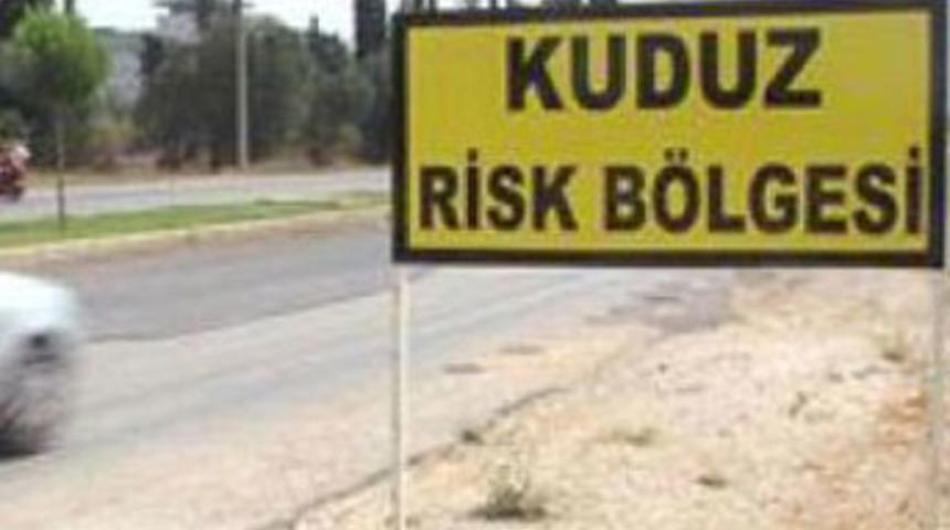 Kuduz tilki, 3 k&ouml;y&uuml; karantina altına aldırttı