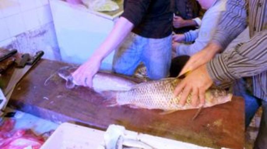 İznik Balık Pazarında Rekor Kırıldı