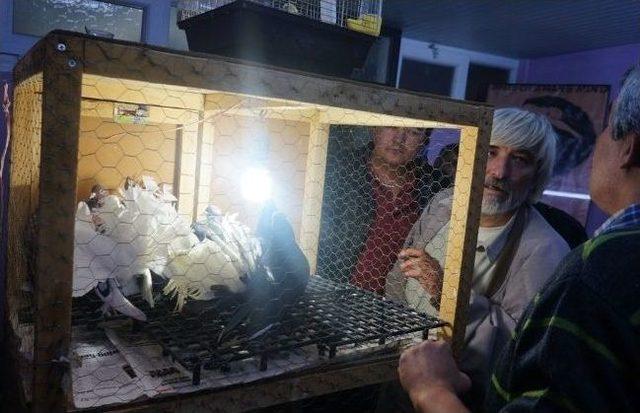 G&uuml;vercinseverler Sarıg&ouml;l&rsquo;de Buluştu 3