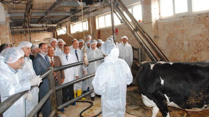 Kurban Kesim Kursuna Katılan Kursiyerler Sertifikalarını Aldı