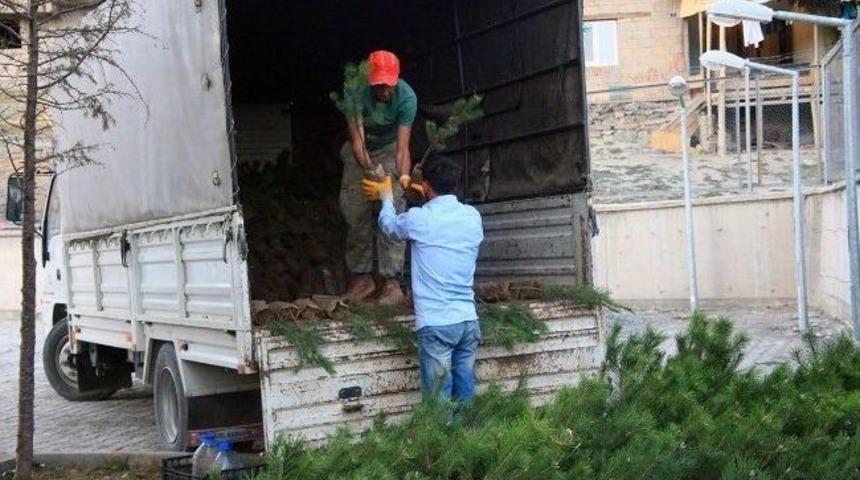 Eğirdir&rsquo;den Hakkari&rsquo;ye Orman Fidanı