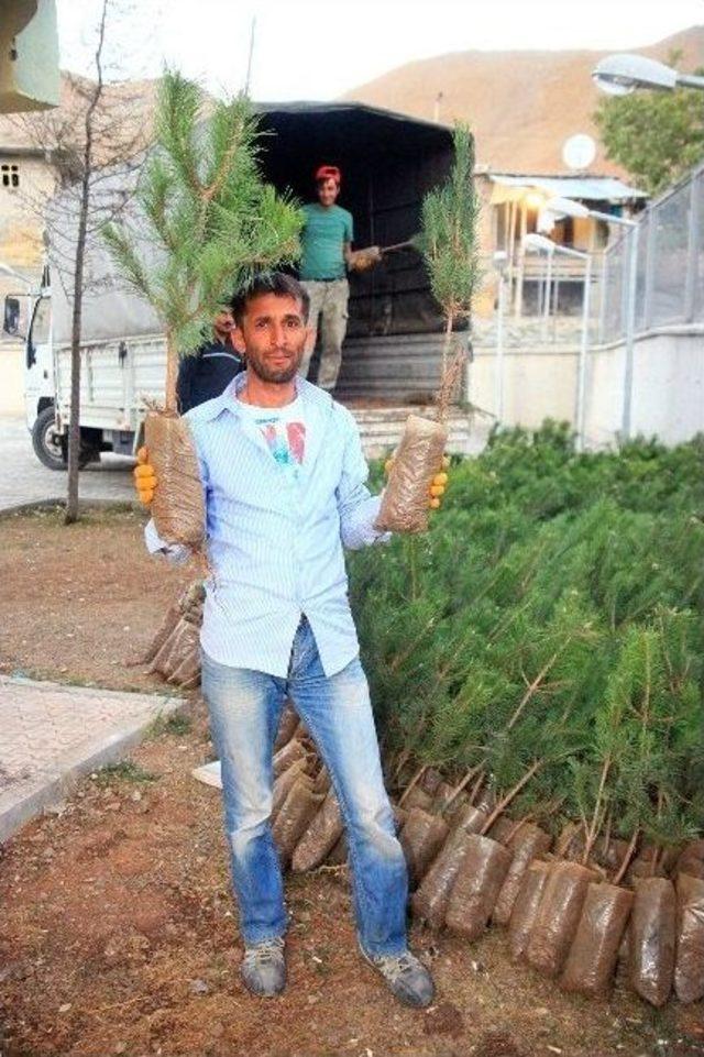 Eğirdir’den Hakkari’ye Orman Fidanı