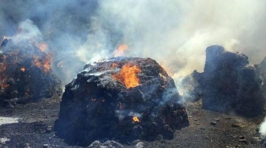 5 Bin Bağ Ot Yarım Saatte K&uuml;l Oldu