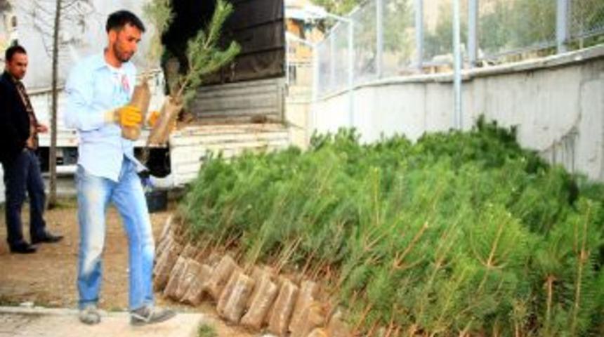 Eğirdir'den Hakkari'ye 2 Bin Fidan G&ouml;nderildi