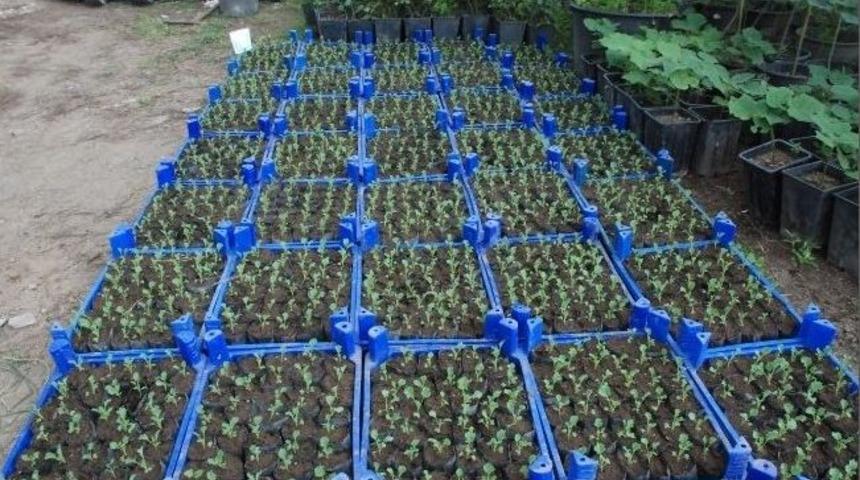 Kışlık &Ccedil;i&ccedil;ekler T&uuml;pleniyor