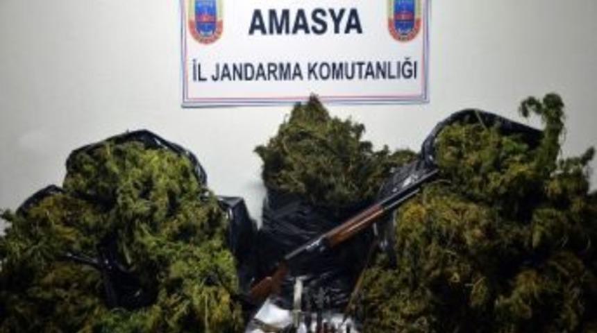Amasya&rsquo;da 60 Kilo Esrar Yakalandı